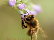 引爆商业潜能的服务器攻击软件