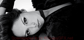 会员网站便捷的服务器攻击软件